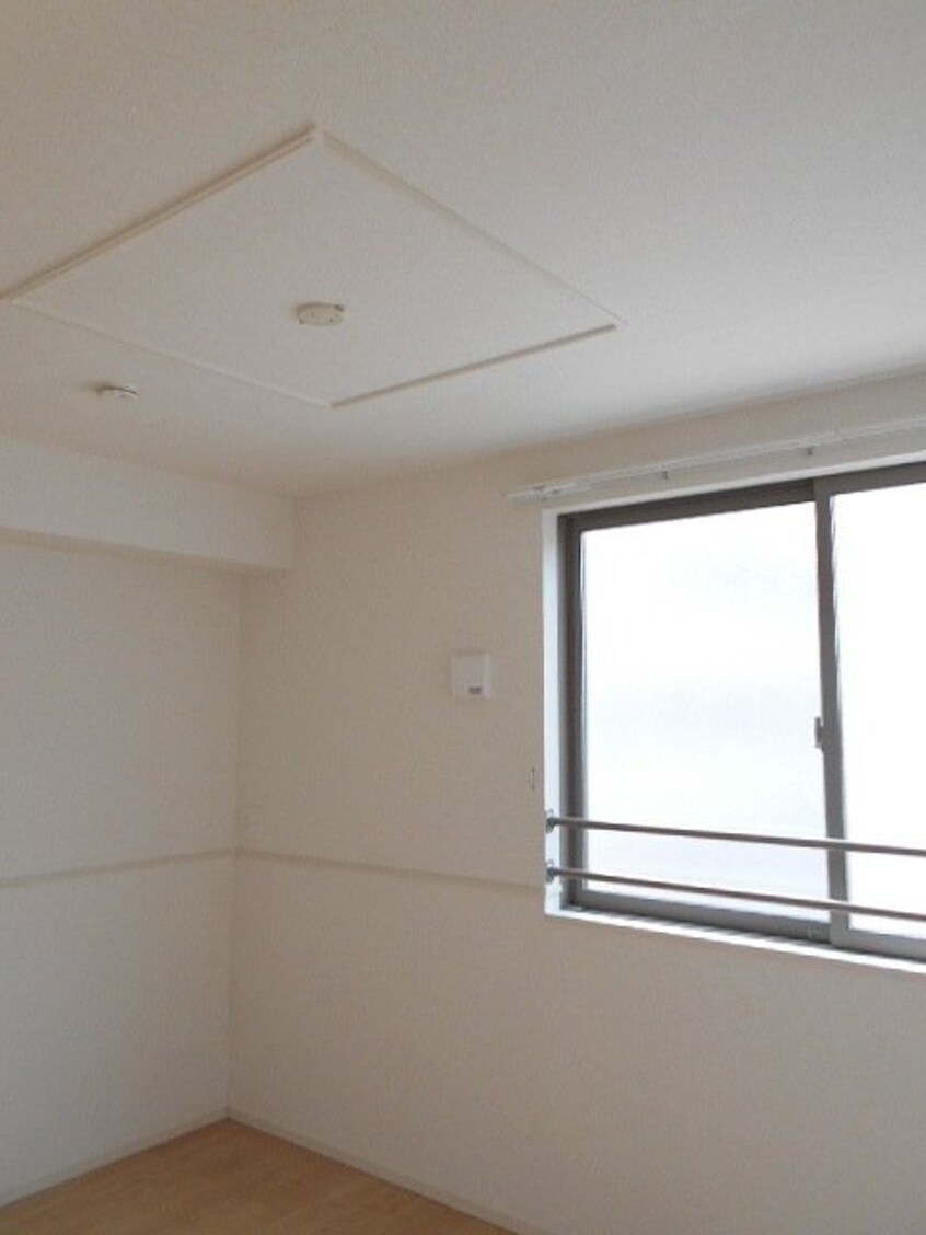  ショコラ　オリーブ