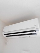  ショコラ　オリーブ