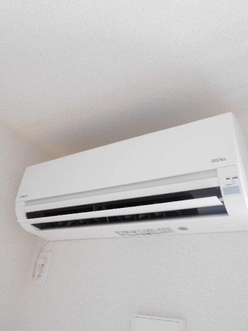  ショコラ　オリーブ