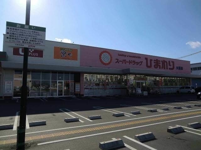 スーパードラッグひまわり津高店(ドラッグストア)まで767m グレースマンション津高