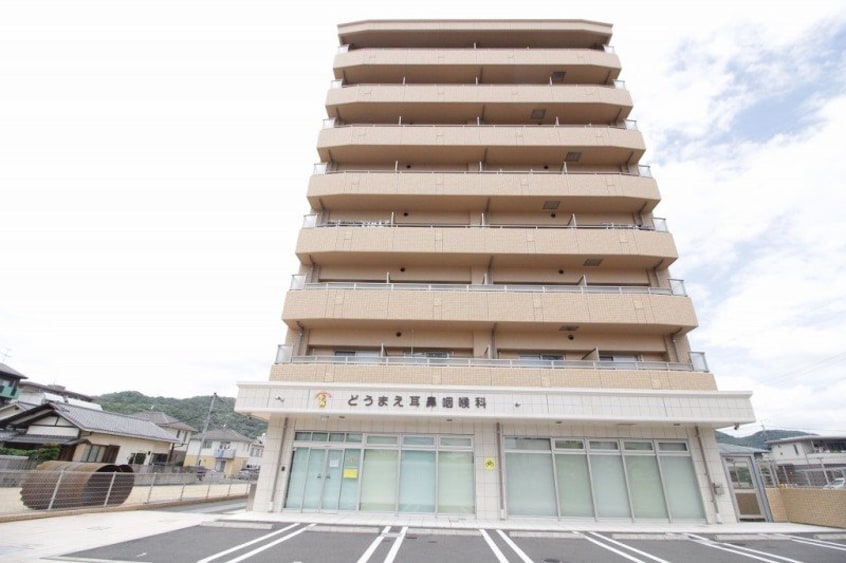  アネシスデュオ