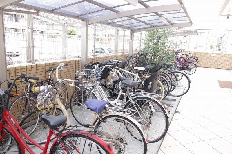  アネシスデュオ