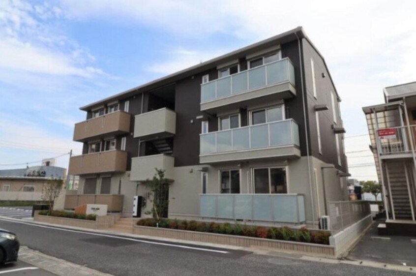  コスモソラーレ