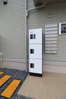  コスモソラーレ