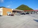 セブンイレブン岡山牟佐店(コンビニ)まで245m リヴィング牟佐
