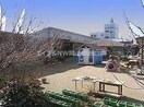 共生保育園(幼稚園/保育園)まで238m ロイヤルガーデンタワー岡山幸町