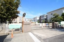 岡山市立芳明幼稚園(幼稚園/保育園)まで302m アルファステイツ西市ツインズⅠ