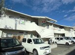 サンフラワー今
