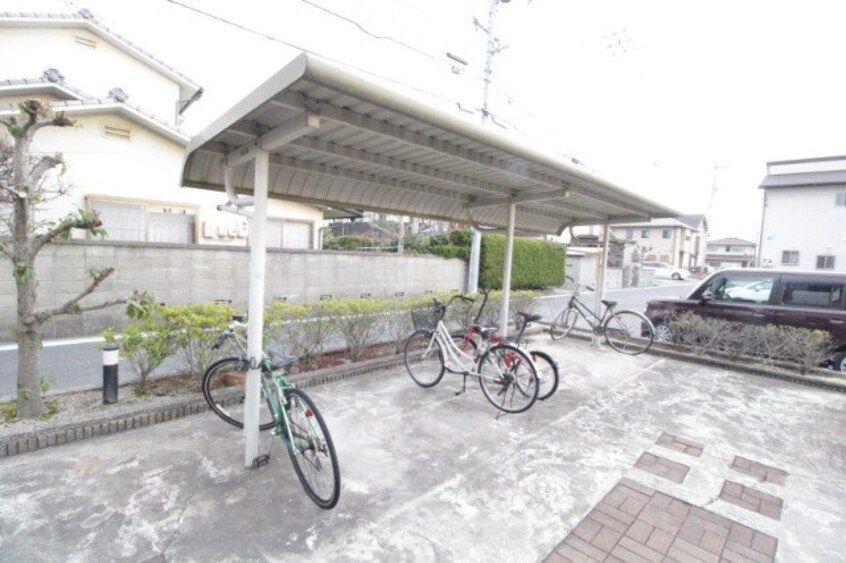  プロニティ　マイス