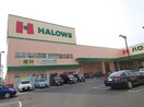 ハローズ東古松店(スーパー)まで418m アルファステイツ東古松