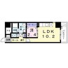 グランツコート　Ⅱ 1LDKの間取り