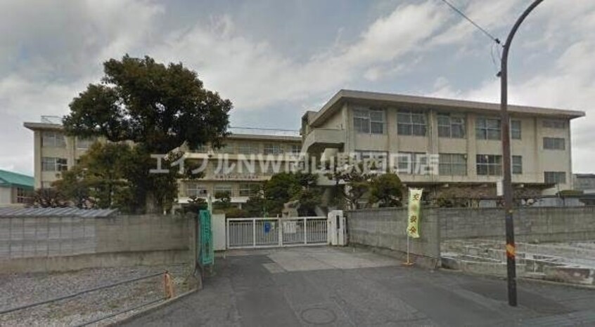 岡山市立石井小学校(小学校)まで427m 国際コーポ