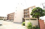 シャトレハイツ津島