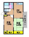 マスカット 2DKの間取り