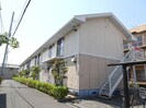 マスカットの外観