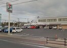 セブンイレブン岡山岡南町1丁目店(コンビニ)まで295m マンションニューヨーク医大東