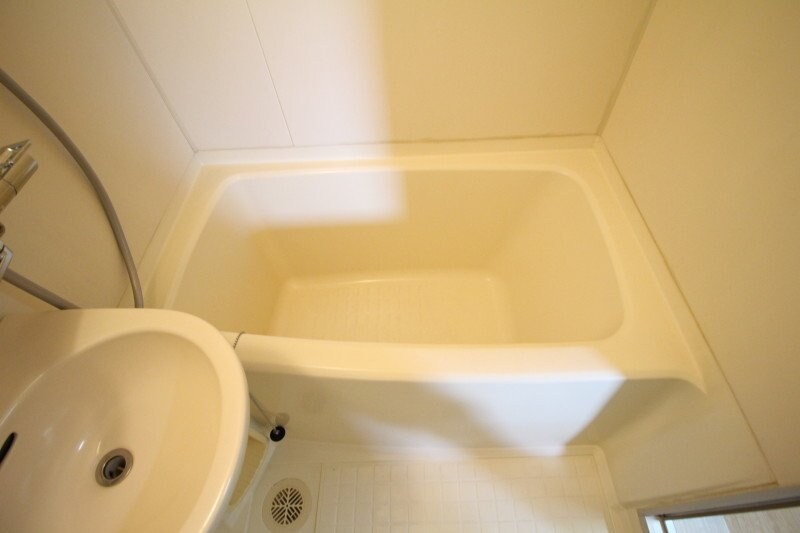  シャトレハイツ大元