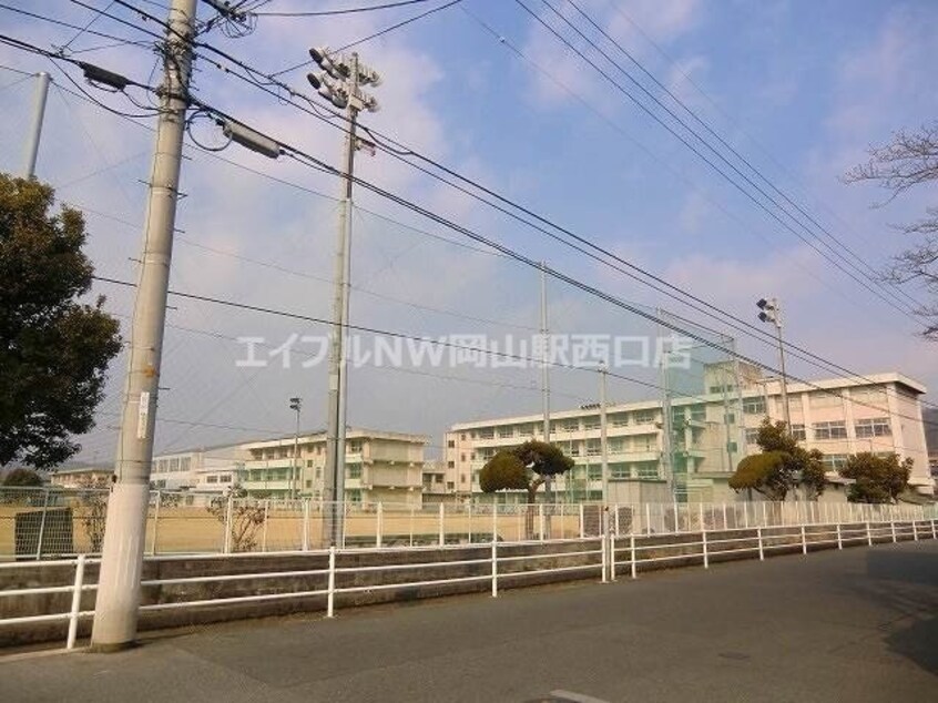 岡山市立大野小学校(小学校)まで320m エスコート大安寺