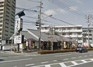 味の民芸岡山奉還町店(その他飲食（ファミレスなど）)まで632m パレス昭和　B棟