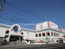 わたなべ生鮮館庭瀬店(スーパー)まで496m フレシア