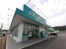ザグザグ金川店(ドラッグストア)まで1008m シンフォニーⅠ