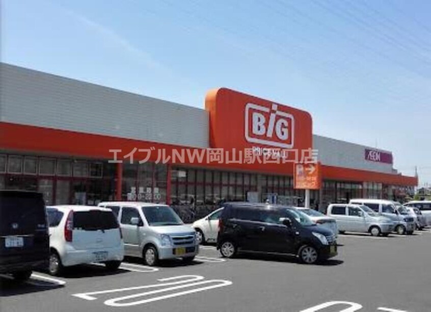 ザ・ビッグ奥田南店(電気量販店/ホームセンター)まで553m 深可ヒュッテ