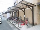  パルミラ津高