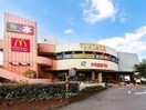 ツシマモール(ショッピングセンター/アウトレットモール)まで1678m パルミラ津高