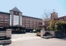 私立岡山商科大学(大学/短大/専門学校)まで1134m パルミラ津高