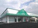 ポプラ岡山岡工前店(コンビニ)まで555m ドムスフローラ　Ｂ棟