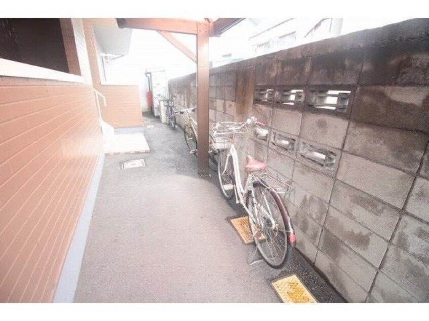  サングレースⅡ