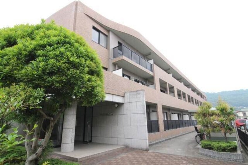  パルテール桑の木