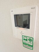  パルテール桑の木