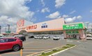 スーパードラッグひまわり津高店(ドラッグストア)まで1887m 桃の里マンション