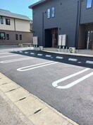  コンテルミナス