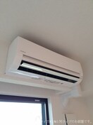  コンテルミナス