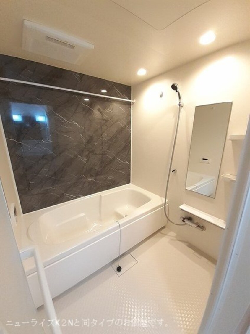  コンテルミナス