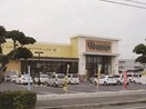 ハピッシュ下中野店(スーパー)まで502m プレアール今