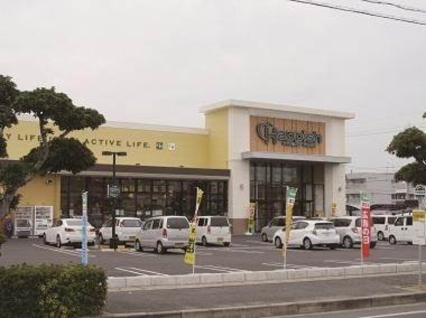 ハピッシュ下中野店(スーパー)まで502m プレアール今