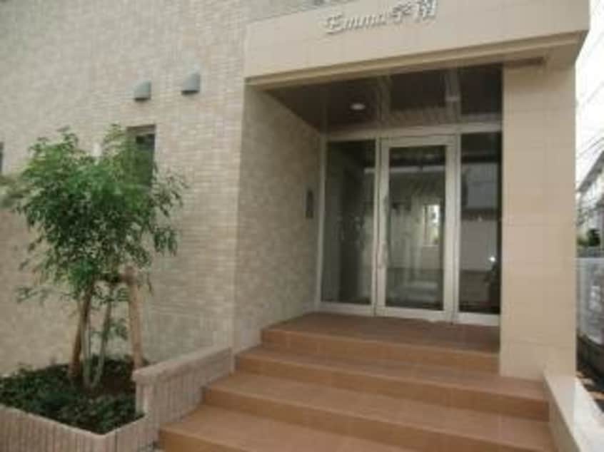  EMMA学南