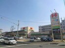 ハローズ花尻店(スーパー)まで135m スカイコート
