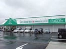 ザグザグ白石店(ドラッグストア)まで283m スカイコート
