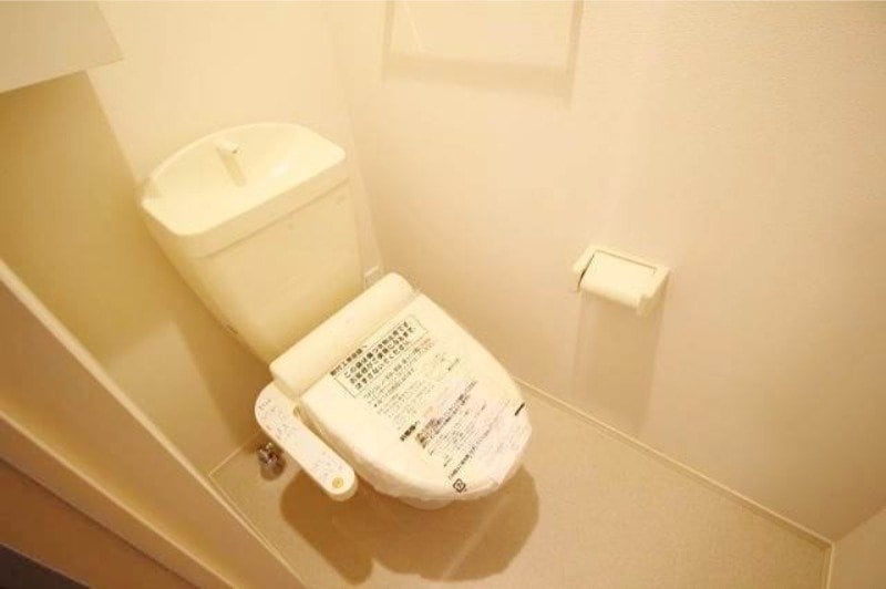 イメージ写真になります ブランドール　マサ