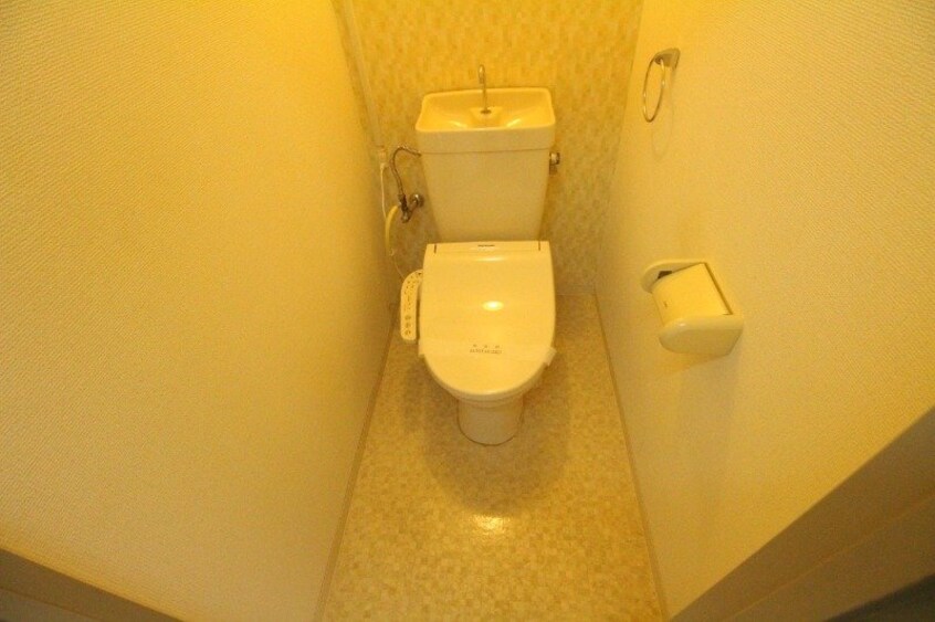  ミラドール今Ⅱ