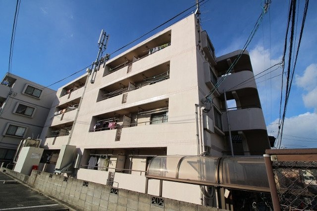  パルミラ浜