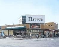 ハピーズ岡輝店(スーパー)まで307m メゾン山盛