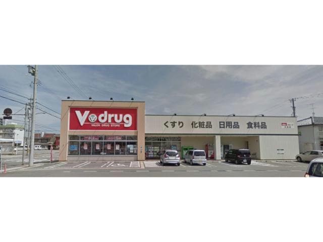 V・drug大宮店(ドラッグストア)まで736m セジュール二の宮