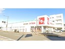 スギ薬局福井大手店(ドラッグストア)まで459m シティハイムⅡ