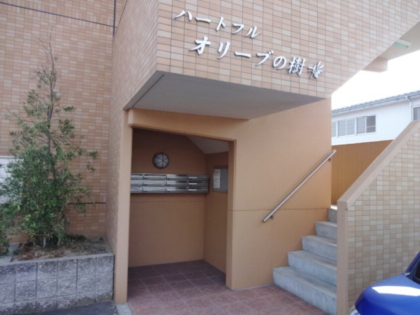  ハートフル　オリーブの樹