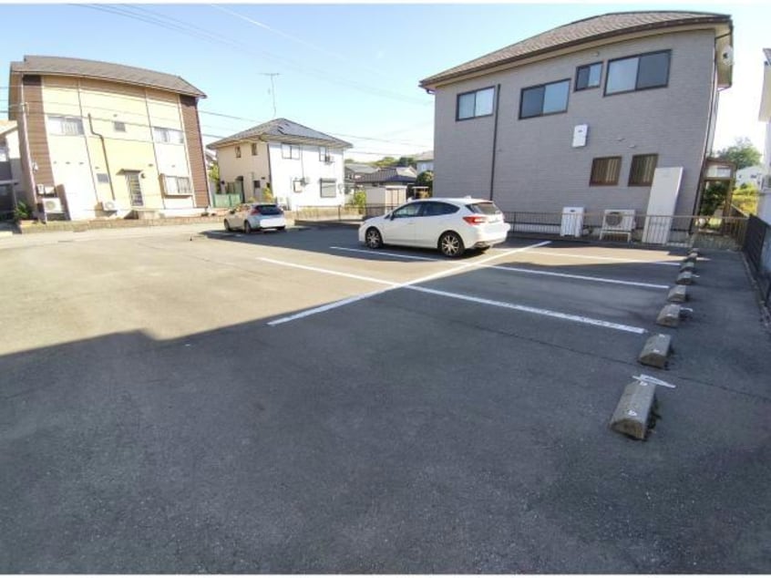  グリーンリーフ